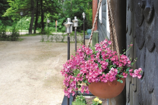 Berghotel Brockenblick